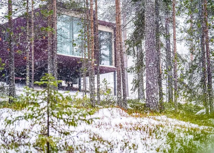 Arctic Treehouse